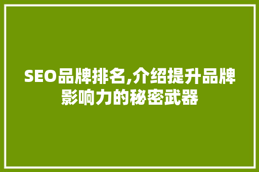 SEO品牌排名,介绍提升品牌影响力的秘密武器