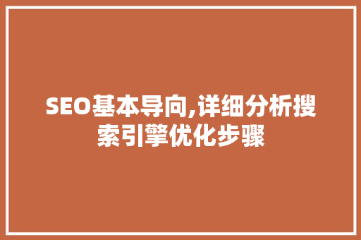 SEO基本导向,详细分析搜索引擎优化步骤