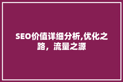 SEO价值详细分析,优化之路，流量之源
