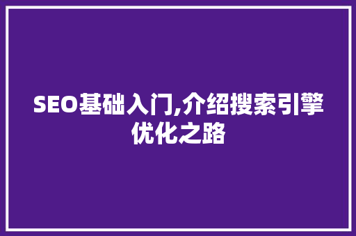 SEO基础入门,介绍搜索引擎优化之路