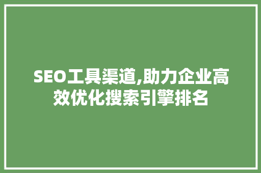 SEO工具渠道,助力企业高效优化搜索引擎排名