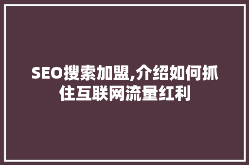 SEO搜索加盟,介绍如何抓住互联网流量红利