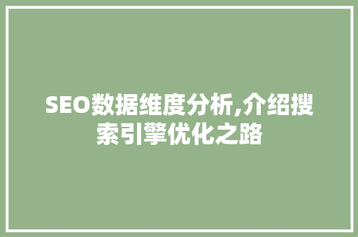 SEO数据维度分析,介绍搜索引擎优化之路