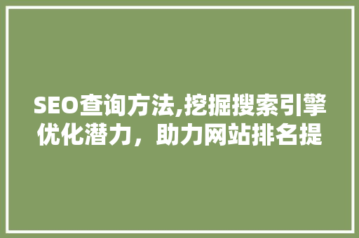 SEO查询方法,挖掘搜索引擎优化潜力，助力网站排名提升