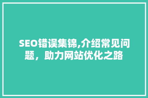 SEO错误集锦,介绍常见问题，助力网站优化之路