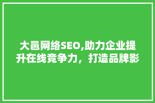 大邑网络SEO,助力企业提升在线竞争力,打造品牌影响力 大邑网络SEO,助力企业提升在线竞争力,打造品牌影响力
