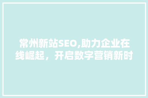 常州新站SEO,助力企业在线崛起，开启数字营销新时代