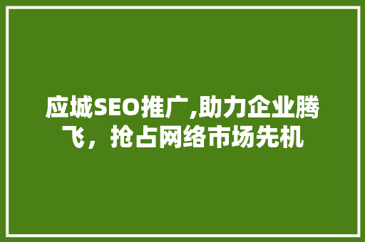 应城SEO推广,助力企业腾飞，抢占网络市场先机 网络技术