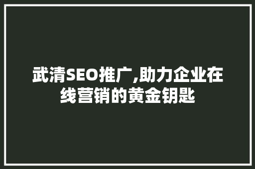 武清SEO推广,助力企业在线营销的黄金钥匙