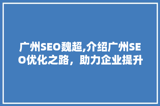 广州SEO魏超,介绍广州SEO优化之路，助力企业提升网络竞争力