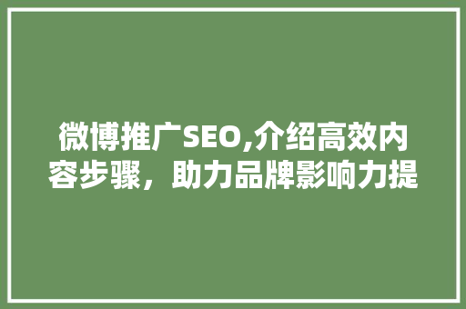 微博推广SEO,介绍高效内容步骤，助力品牌影响力提升