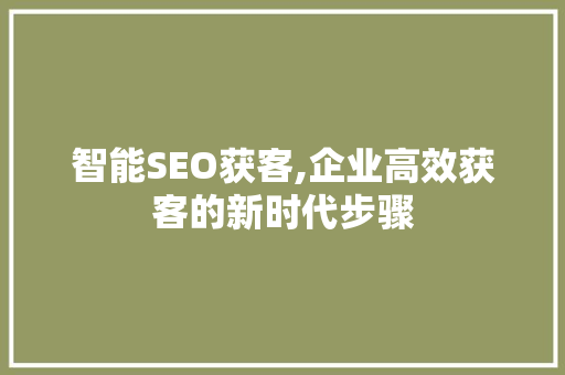 智能SEO获客,企业高效获客的新时代步骤