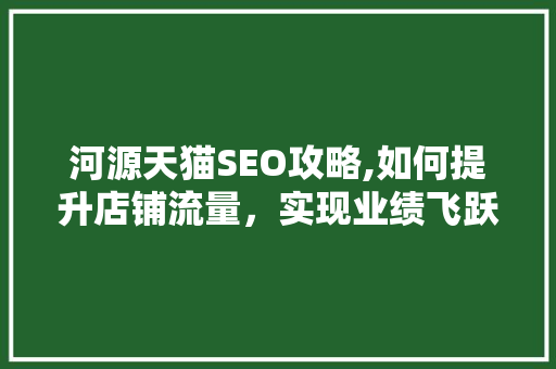 河源天猫SEO攻略,如何提升店铺流量，实现业绩飞跃