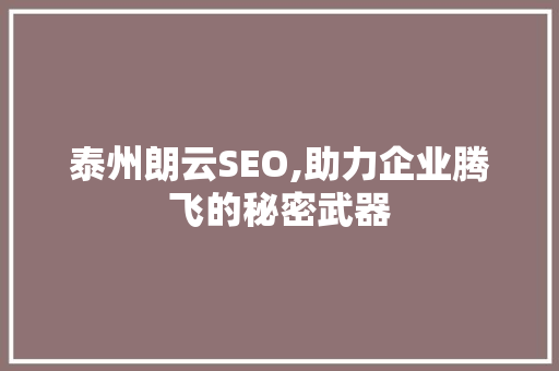 泰州朗云SEO,助力企业腾飞的秘密武器