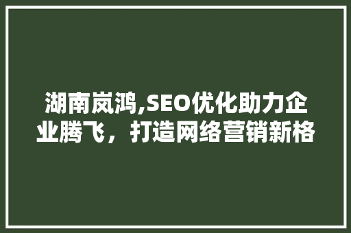 湖南岚鸿,SEO优化助力企业腾飞，打造网络营销新格局