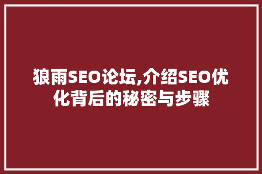 狼雨SEO论坛,介绍SEO优化背后的秘密与步骤