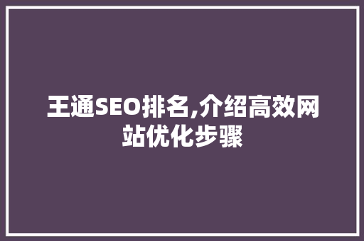 王通SEO排名,介绍高效网站优化步骤