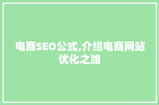 电商SEO公式,介绍电商网站优化之路
