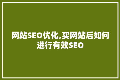网站SEO优化,买网站后如何进行有效SEO