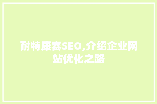 耐特康赛SEO,介绍企业网站优化之路