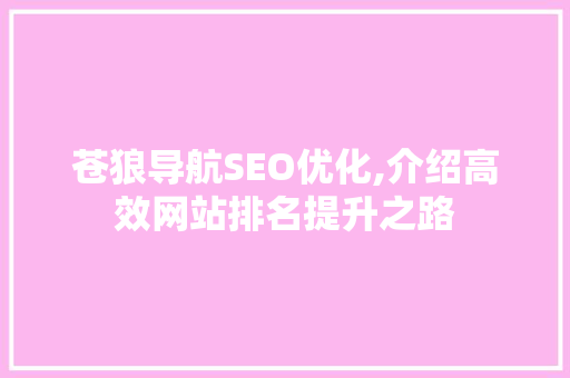 苍狼导航SEO优化,介绍高效网站排名提升之路 苍狼导航SEO优化,介绍高效网站排名提升之路