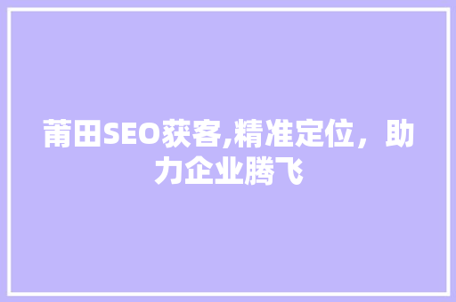 莆田SEO获客,精准定位,助力企业腾飞 莆田SEO获客,精准定位,助力企业腾飞