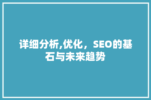 详细分析,优化，SEO的基石与未来趋势