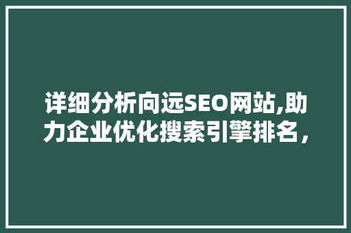 详细分析向远SEO网站,助力企业优化搜索引擎排名，提升在线影响力