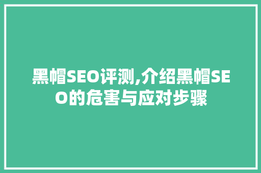 黑帽SEO评测,介绍黑帽SEO的危害与应对步骤