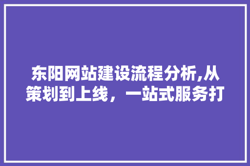 东阳网站建设流程分析,从策划到上线，一站式服务打造专业网站