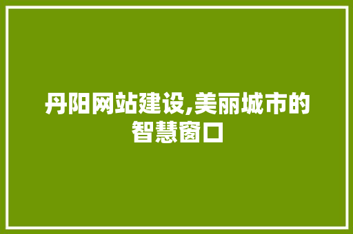 丹阳网站建设,美丽城市的智慧窗口