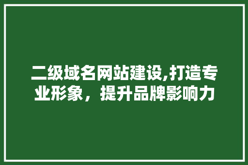二级域名网站建设,打造专业形象，提升品牌影响力
