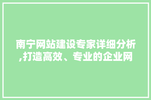 南宁网站建设专家详细分析,打造高效、专业的企业网站