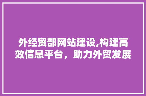 外经贸部网站建设,构建高效信息平台，助力外贸发展新篇章