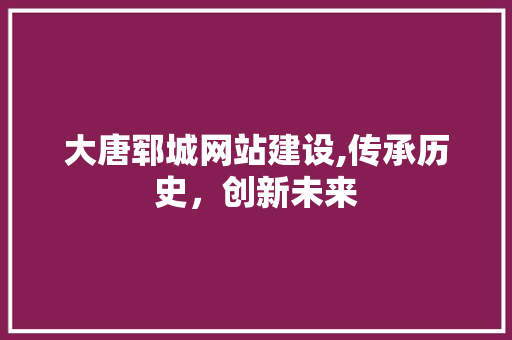 大唐郓城网站建设,传承历史，创新未来