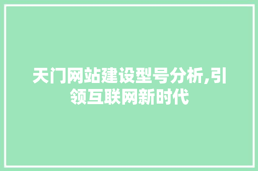 天门网站建设型号分析,引领互联网新时代