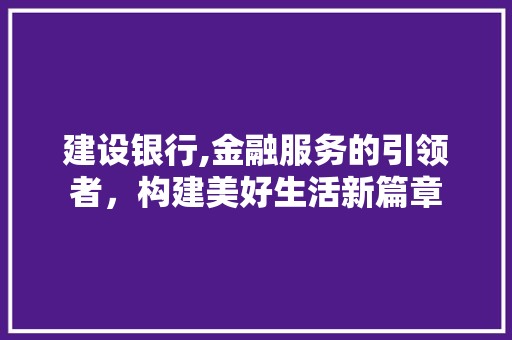 建设银行,金融服务的引领者，构建美好生活新篇章