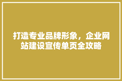 打造专业品牌形象，企业网站建设宣传单页全攻略