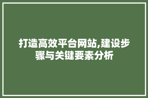 打造高效平台网站,建设步骤与关键要素分析