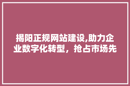 揭阳正规网站建设,助力企业数字化转型，抢占市场先机