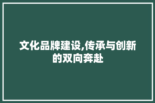 文化品牌建设,传承与创新的双向奔赴