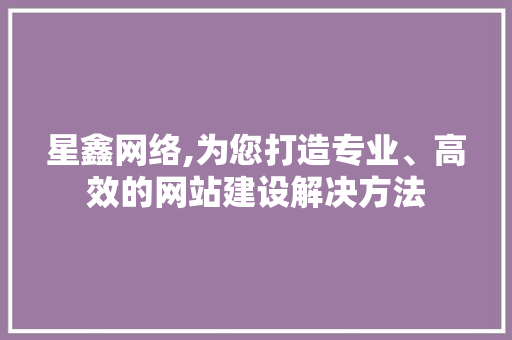 星鑫网络,为您打造专业、高效的网站建设解决方法