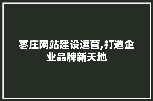 枣庄网站建设运营,打造企业品牌新天地