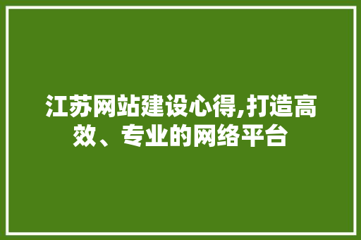 江苏网站建设心得,打造高效、专业的网络平台