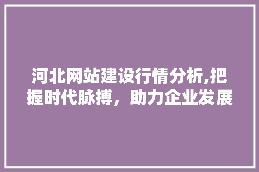 河北网站建设行情分析,把握时代脉搏，助力企业发展