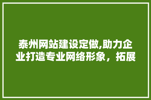 泰州网站建设定做,助力企业打造专业网络形象，拓展市场新空间