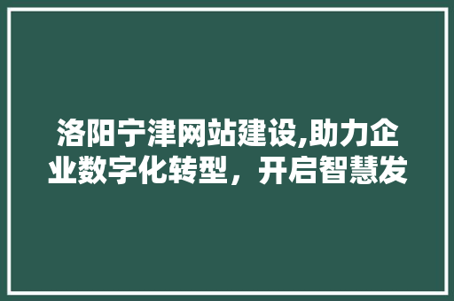 洛阳宁津网站建设,助力企业数字化转型，开启智慧发展新篇章