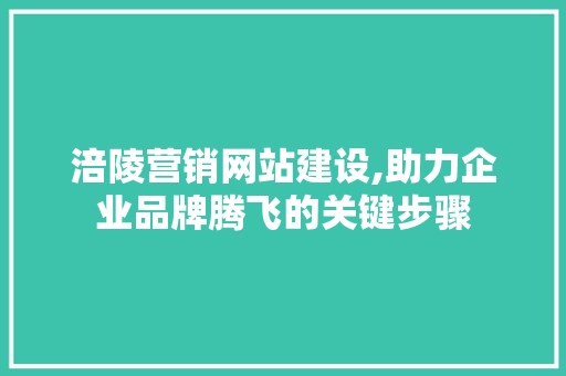 涪陵营销网站建设,助力企业品牌腾飞的关键步骤