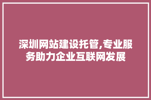 深圳网站建设托管,专业服务助力企业互联网发展 电脑配置
