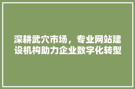 深耕武穴市场，专业网站建设机构助力企业数字化转型